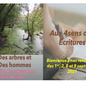 21-22/01 Des arbres et des hommes