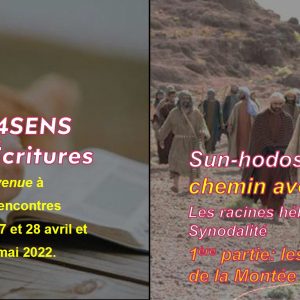 21-22/17 <em>Sun-Hodos</em>: les racines hébraïques de la synodalité, 2<sup>e</sup> partie : l'expérience de Moïse et du peuple au désert